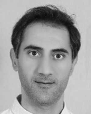Author image of Reza Valiollahi Mehrizi
