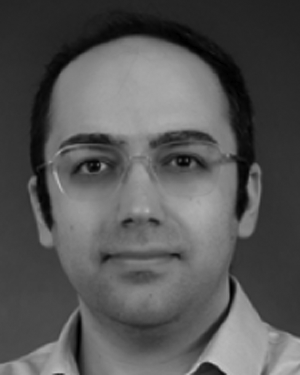 Author image of Mohammad Pirani