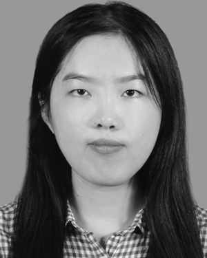 Author image of Yuan Meng