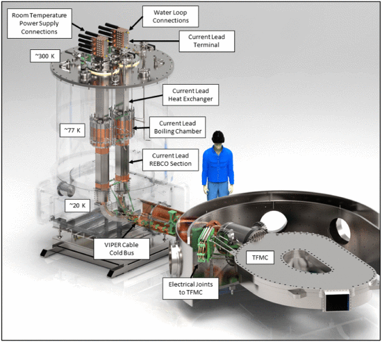 Fig. 1. - Rendering of both current leads and their VIPER cold bus connections to the TFMC. The current lead cryostat and internals including the LN2 reservoir and thermal shields are shown as transparent.
